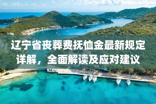 遼寧省喪葬費撫恤金最新規(guī)定詳解，全面解讀及應(yīng)對建議