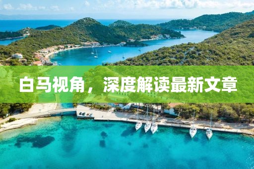 白馬視角，深度解讀最新文章
