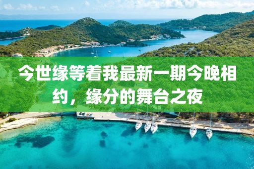 今世緣等著我最新一期今晚相約，緣分的舞臺(tái)之夜