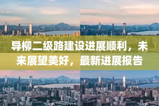 導(dǎo)柳二級(jí)路建設(shè)進(jìn)展順利，未來展望美好，最新進(jìn)展報(bào)告