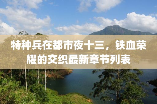 特種兵在都市夜十三，鐵血榮耀的交織最新章節(jié)列表