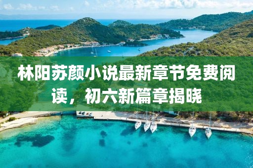 林陽蘇顏小說最新章節(jié)免費(fèi)閱讀，初六新篇章揭曉