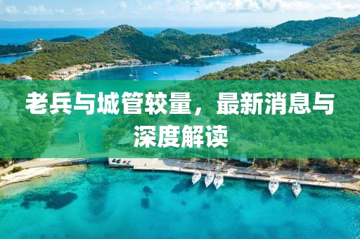 老兵與城管較量，最新消息與深度解讀