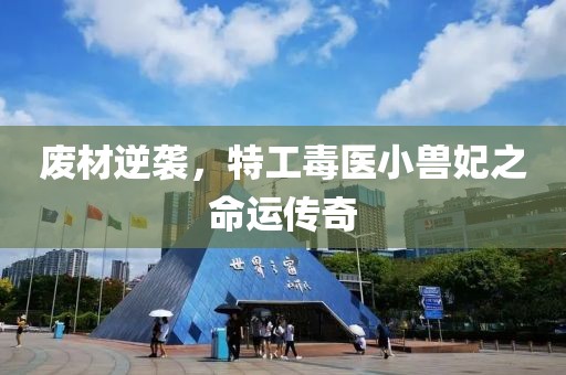 廢材逆襲，特工毒醫(yī)小獸妃之命運傳奇