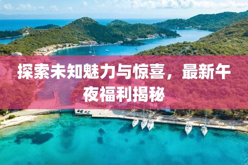 探索未知魅力與驚喜，最新午夜福利揭秘