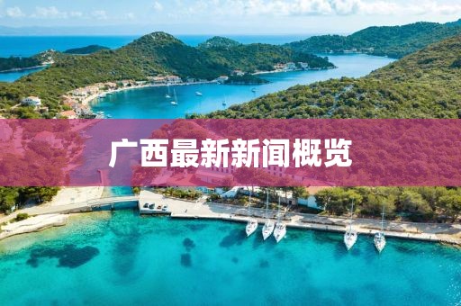 廣西最新新聞概覽