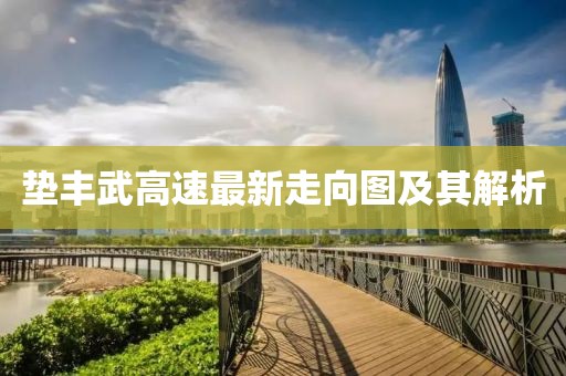 墊豐武高速最新走向圖及其解析