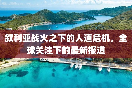 敘利亞戰(zhàn)火之下的人道危機，全球關(guān)注下的最新報道