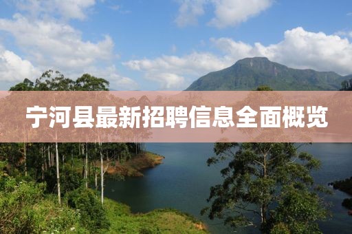 寧河縣最新招聘信息全面概覽