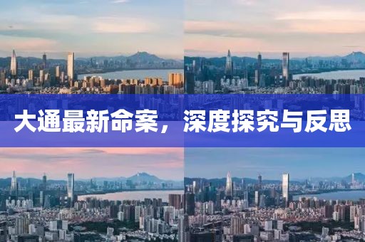 大通最新命案，深度探究與反思