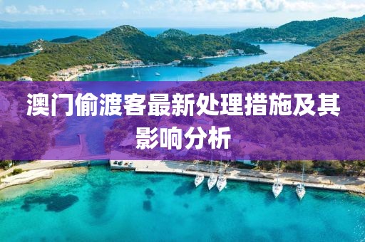 澳門偷渡客最新處理措施及其影響分析