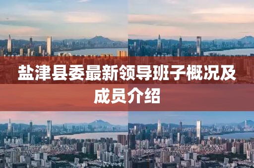 鹽津縣委最新領導班子概況及成員介紹