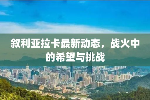敘利亞拉卡最新動態(tài)，戰(zhàn)火中的希望與挑戰(zhàn)