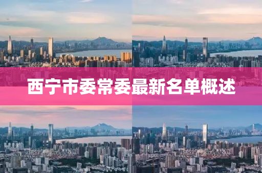 西寧市委常委最新名單概述