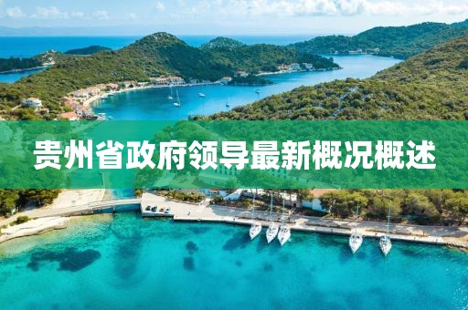 貴州省政府領(lǐng)導(dǎo)最新概況概述