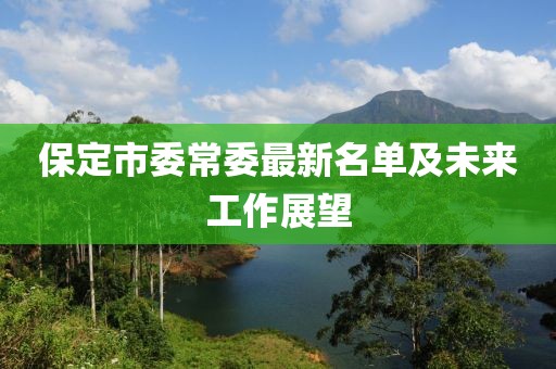保定市委常委最新名單及未來工作展望