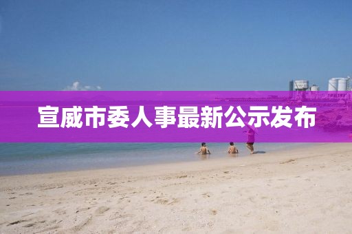 宣威市委人事最新公示發(fā)布