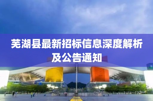蕪湖縣最新招標(biāo)信息深度解析及公告通知