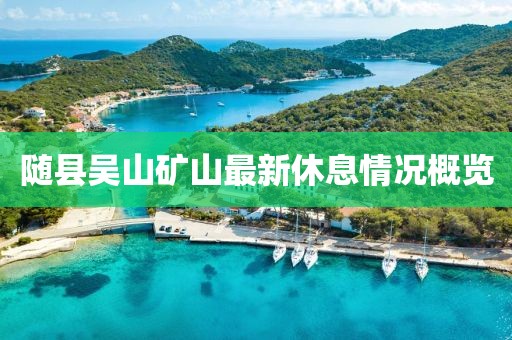 隨縣吳山礦山最新休息情況概覽