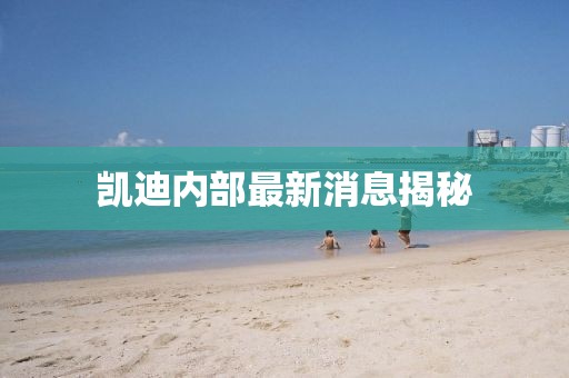 凱迪內(nèi)部最新消息揭秘