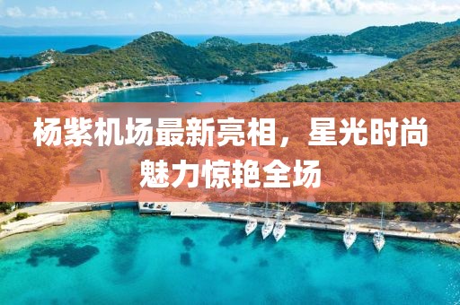 楊紫機場最新亮相，星光時尚魅力驚艷全場