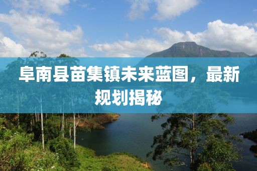 阜南縣苗集鎮(zhèn)未來(lái)藍(lán)圖，最新規(guī)劃揭秘