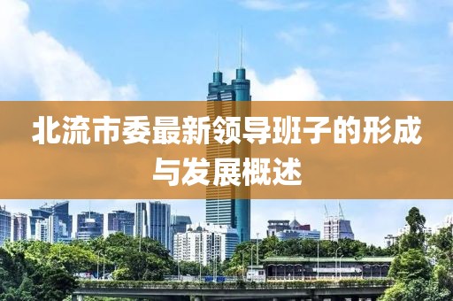 北流市委最新領(lǐng)導(dǎo)班子的形成與發(fā)展概述