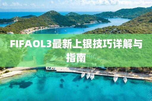 FIFAOL3最新上銀技巧詳解與指南