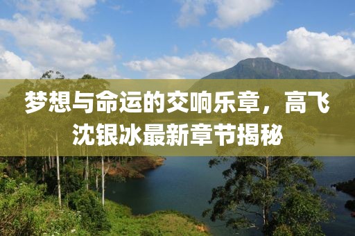 夢(mèng)想與命運(yùn)的交響樂章，高飛沈銀冰最新章節(jié)揭秘