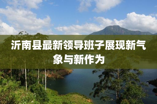 沂南縣最新領(lǐng)導(dǎo)班子展現(xiàn)新氣象與新作為