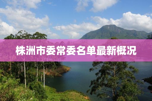 株洲市委常委名單最新概況