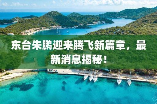 東臺(tái)朱鵬迎來騰飛新篇章，最新消息揭秘！