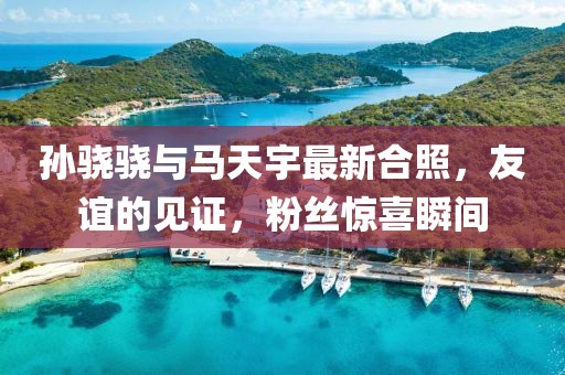 孫驍驍與馬天宇最新合照，友誼的見(jiàn)證，粉絲驚喜瞬間
