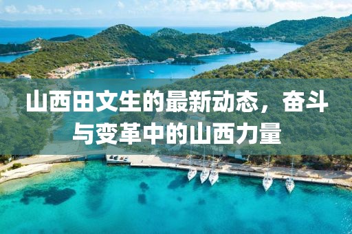 山西田文生的最新動(dòng)態(tài)，奮斗與變革中的山西力量
