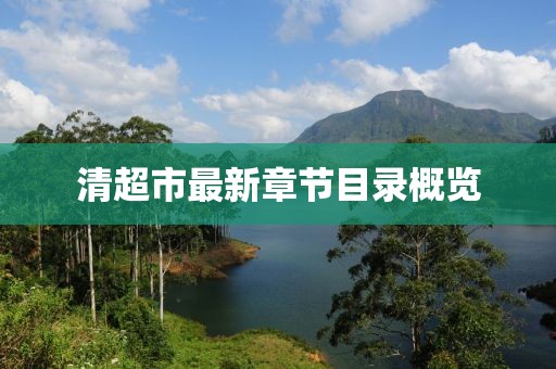 清超市最新章節(jié)目錄概覽
