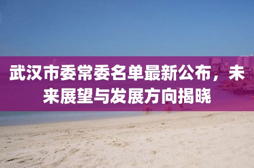 武漢市委常委名單最新公布，未來展望與發(fā)展方向揭曉