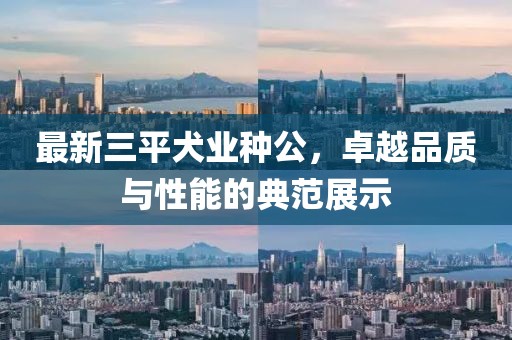 最新三平犬業(yè)種公，卓越品質(zhì)與性能的典范展示