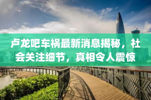 盧龍吧車禍最新消息揭秘，社會關(guān)注細(xì)節(jié)，真相令人震驚