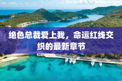絕色總裁愛(ài)上我，命運(yùn)紅線(xiàn)交織的最新章節(jié)