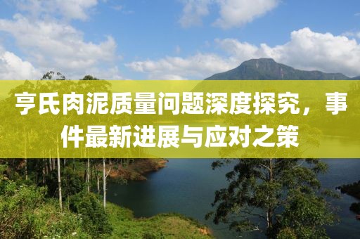 亨氏肉泥質(zhì)量問題深度探究，事件最新進(jìn)展與應(yīng)對之策