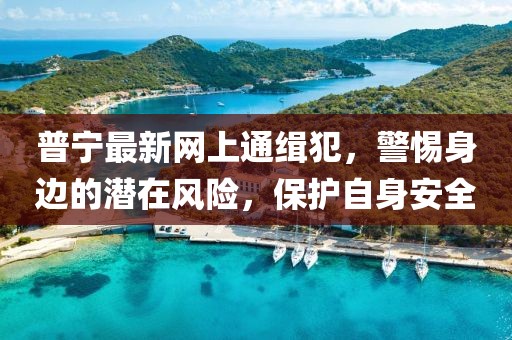 普寧最新網(wǎng)上通緝犯，警惕身邊的潛在風(fēng)險(xiǎn)，保護(hù)自身安全