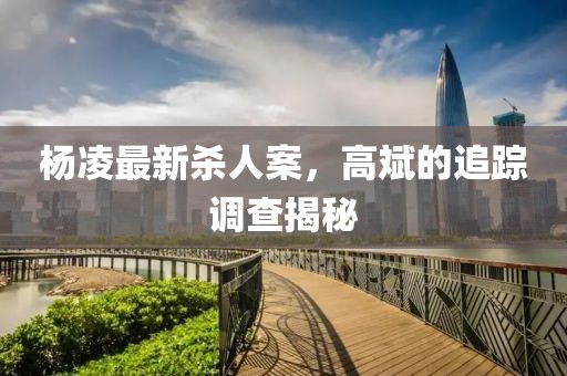 楊凌最新殺人案，高斌的追蹤調(diào)查揭秘