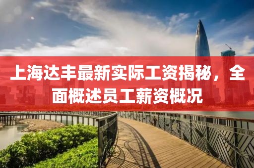 上海達(dá)豐最新實際工資揭秘，全面概述員工薪資概況
