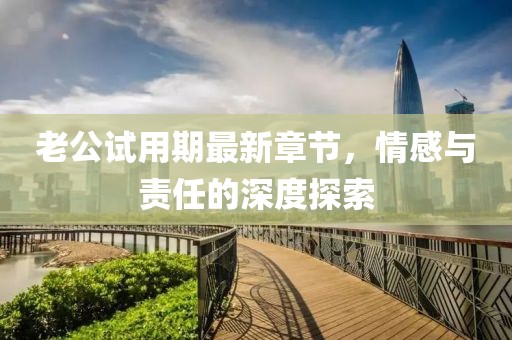 老公試用期最新章節(jié)，情感與責任的深度探索