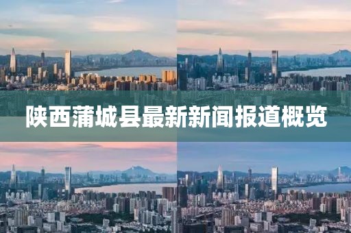 陜西蒲城縣最新新聞報(bào)道概覽