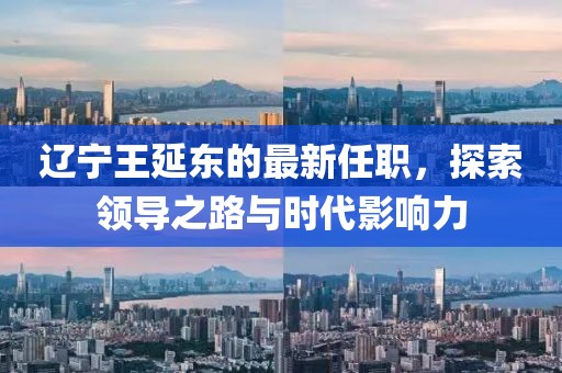 遼寧王延?xùn)|的最新任職，探索領(lǐng)導(dǎo)之路與時代影響力