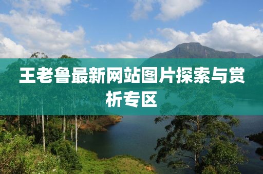 王老魯最新網(wǎng)站圖片探索與賞析專區(qū)