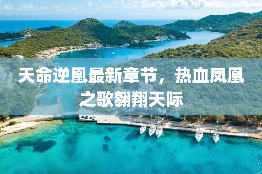 天命逆凰最新章節(jié)，熱血鳳凰之歌翱翔天際