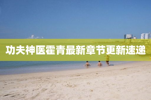 功夫神醫(yī)霍青最新章節(jié)更新速遞