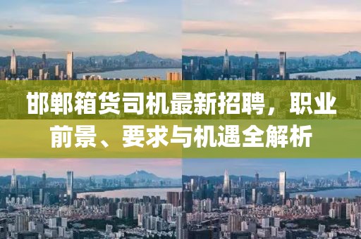 邯鄲箱貨司機(jī)最新招聘，職業(yè)前景、要求與機(jī)遇全解析